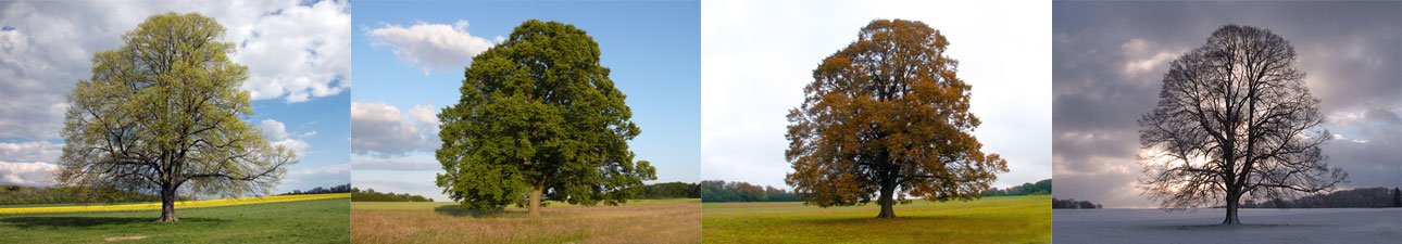 Alzheimer Gesellschaft Hamburg | 